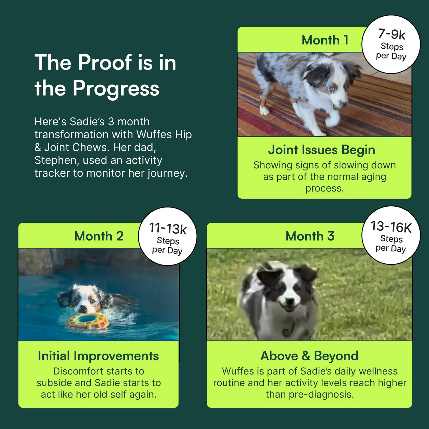 Hip & Joint Chews