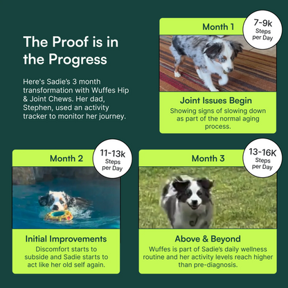 Hip & Joint Chews