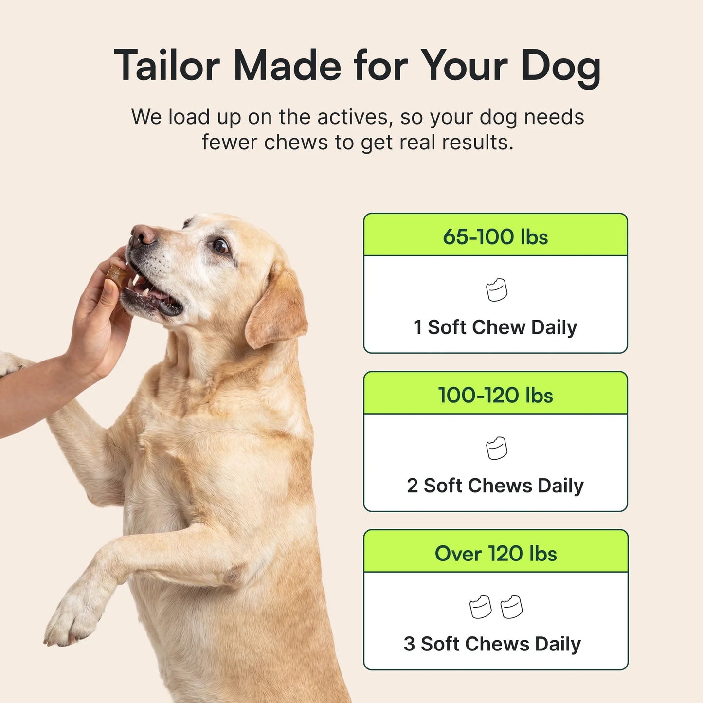 Hip & Joint Chews